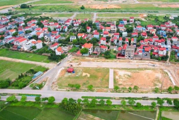đấu giá đất