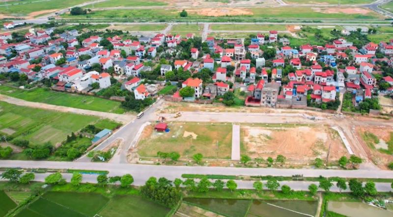 đấu giá đất