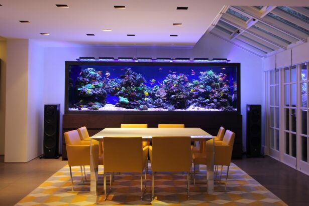 cách đặt bể cá phong thủy