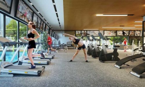 chung cư handico complex gym
