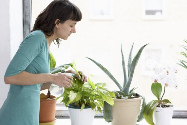 phong thủy nhà ở