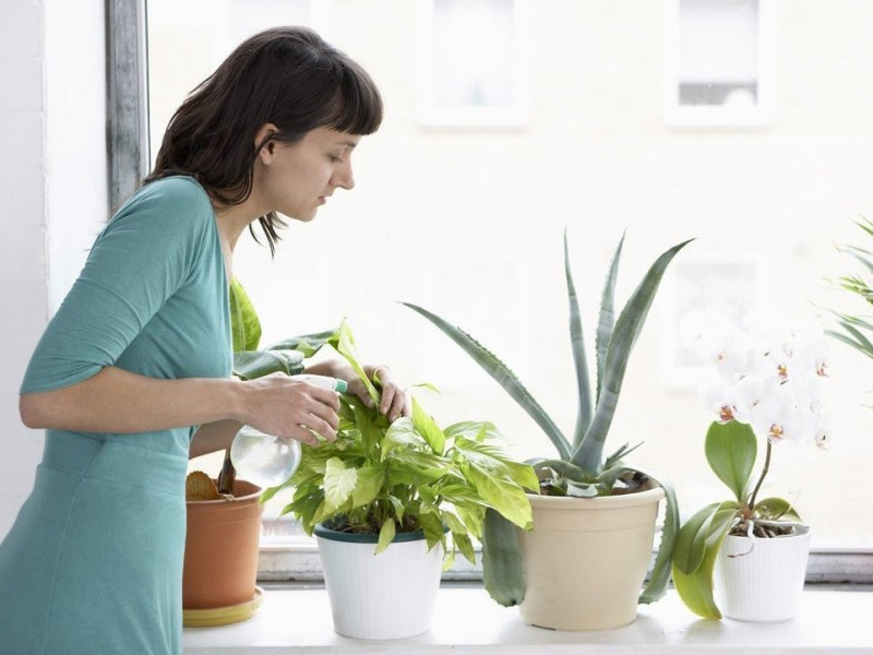 phong thủy nhà ở